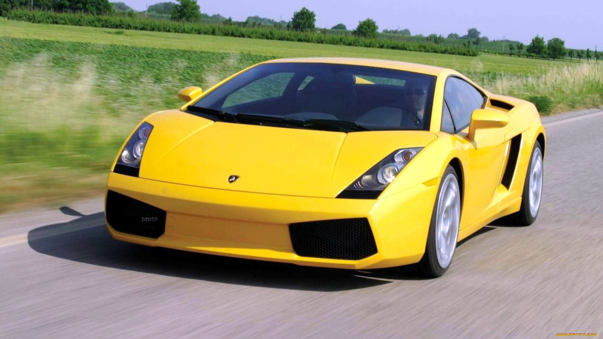 lamborghini, gallardo, , , automobili, s, p, a, 